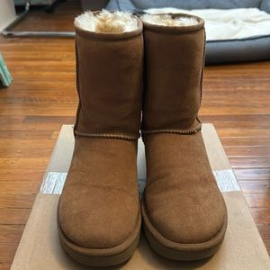 ugg classic short boot chestnut